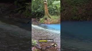 🌊 This River Is SO BLUE It Looks FAKE! 😱  Río Celeste Revealed 🌈✨