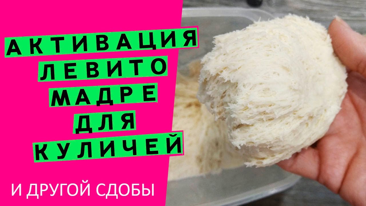 Активация левито мадре//Секреты идеального кулича {Увеличиваем подъемную силу. Часть 2}