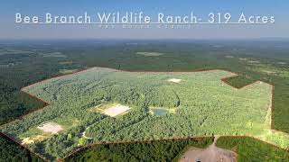 Bee Branch Wildlife Ranch