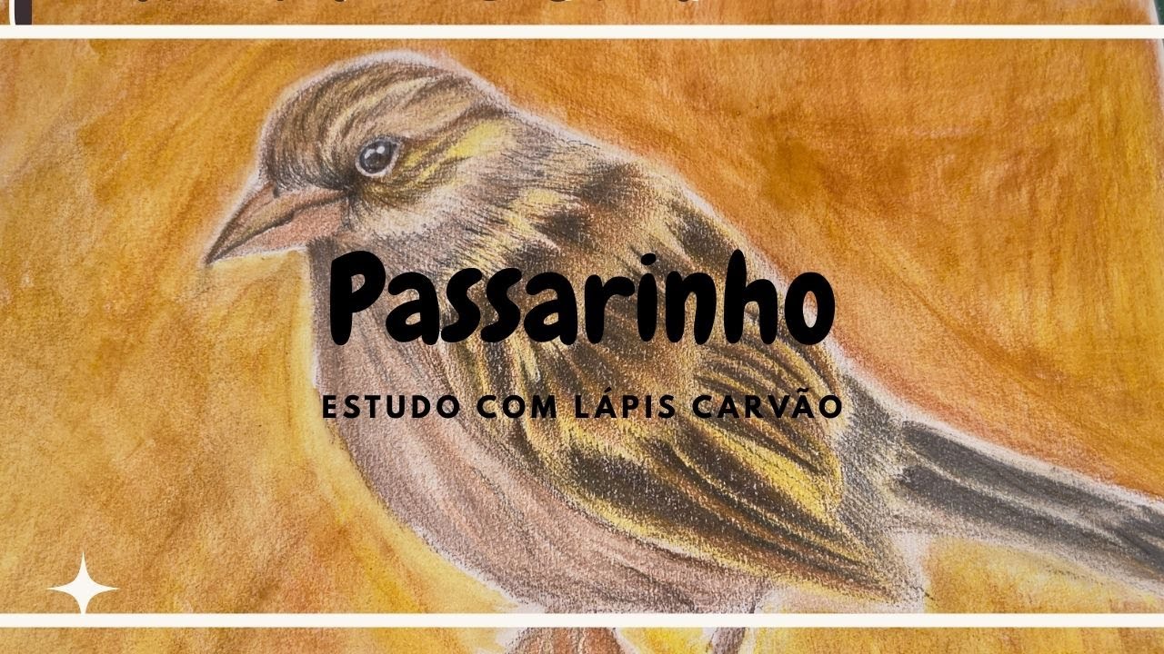 Passarinho Lápis Carvão [Primeira vez fazendo um desenho com carvão!]