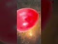 Il Battito dell'Origine...Siamo polveri d'Astri cercatori di Vie.