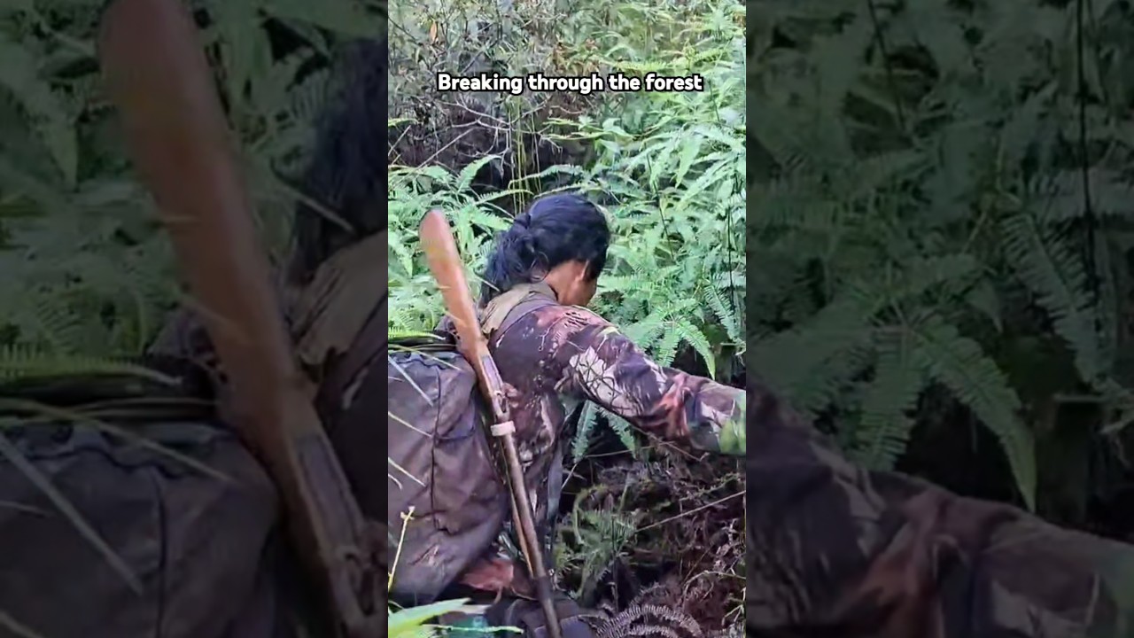 Breaking Through the Forest 