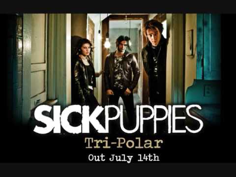 Sick Puppies - You're Going Down (Radio Edit)
