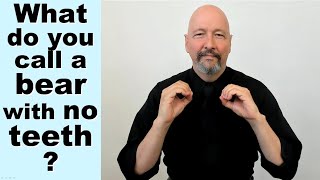 Dad Joke in ASL:  What do you call a bear with no teeth? @sign-language