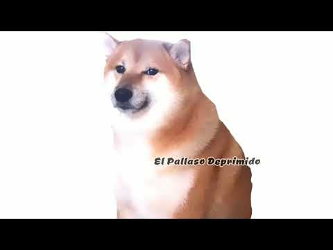 Hoy es noche