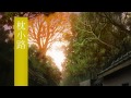 Mushishi & Mushishi Zoku Shou OST - All Ending Themes by Toshio Masuda | 蟲師