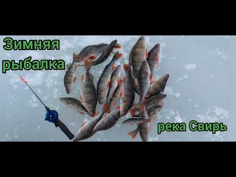 зимняя рыбалка на