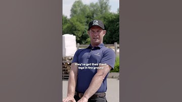 STOP pulling and pushing your horse into the trailer #trtmethod #horse #equestrian #groundwork