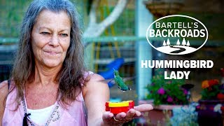 How one lady attracts hundreds of hummingbirds to her California home | Bartell's Backroads