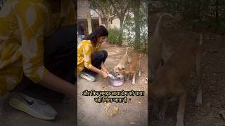 Save dogs 🐕 #saveanimals #adoptstrays #wildliferescue #strayanimals #rescueefforts #dog