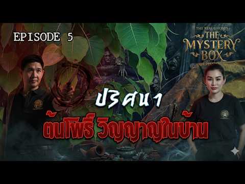 The Bodhi Tree, the Mystery, the Girl in White: The Mystery Box Episode 5 Trailer