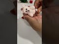 part 1. #cute air balloon # teddy bear # rose flowes# gifted#double decorate#cute#diy #ahorts