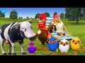 el Pollito pío 3d el Toro y el Tractor de la Granja -el Pollito y el Tractor de la Granja🚜🐄