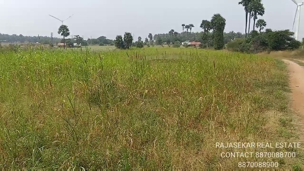 1acres 27lacs agri land for sale near kinathukadavu to palladam road