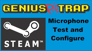 Steam Microphone Test, Adjust, and Change.