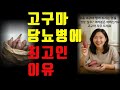 당뇨 혈당 관리에 고구마가 최고인 이유