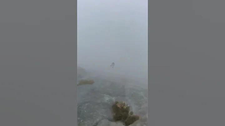 High ultimate, BASE jump