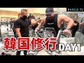 【韓国修行DAY1】身体をさらに大きくするために韓国のコーチの元で学びます【背中トレ】