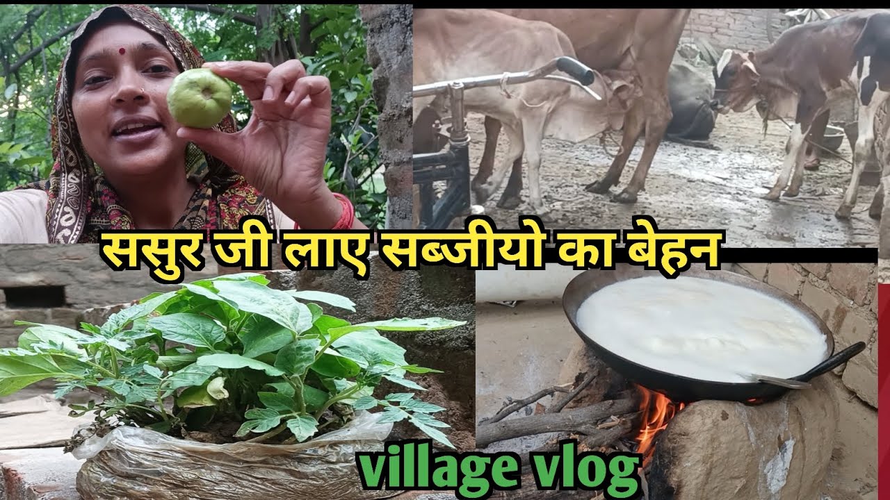 ससुर जी लाए सब्जीयो का बेहन || ab lagenge Khet Mein sabjiyan #vlog @meenagaonkilifestylevlog 