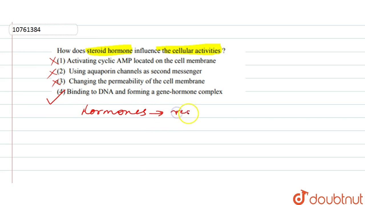 The Advanced Guide To dog steroids for allergies Let's Go Bahrain