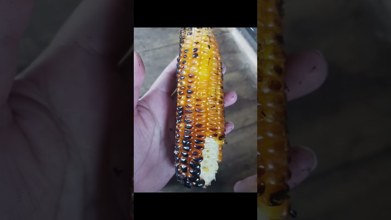 Sweet Corn🌽 