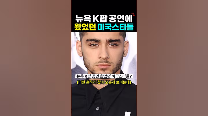 뉴욕 케이팝 공연 찾아온 미국 스타들?