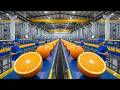Inside Orange Juice Factory – What They Don’t Show You