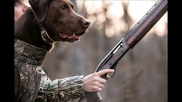 Cover Image for Duck Hunting with a 28 Gauge - Remington 1100 Sportsman 28 - Review