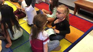 SIOP Strategies Interaction