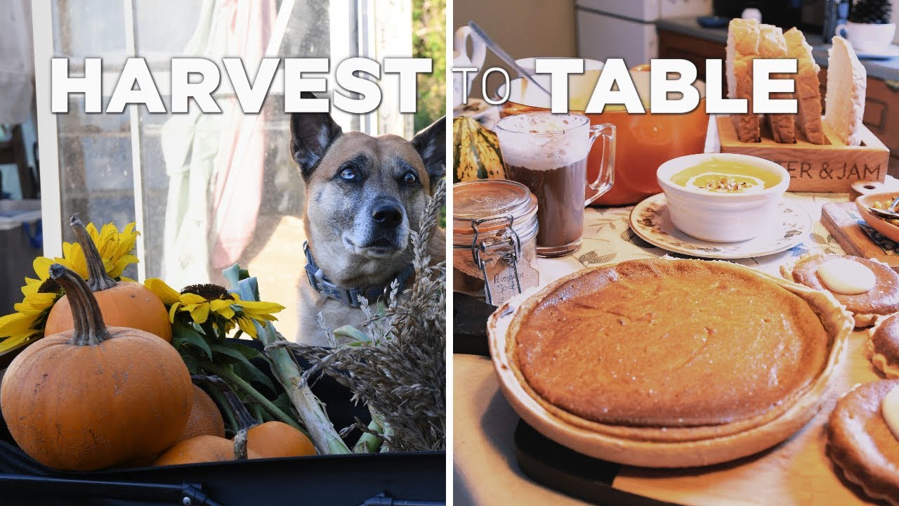 From Plot to Plate | Harvesting Pumpkins & Making Soup + Pie