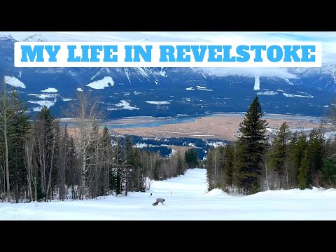 Revelstoke | A Day in the Life of The Travelling Scientist