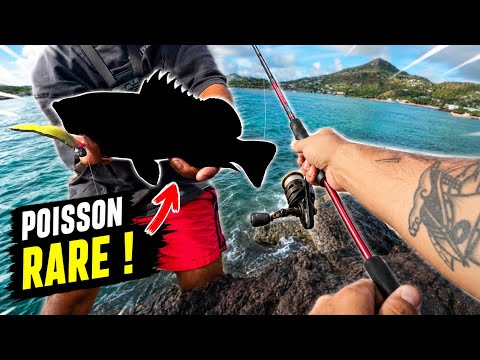 😱This RARE fish saved our rough session…