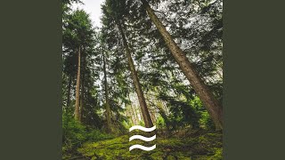 Babies Sleeping Soft Arbor screenshot 5