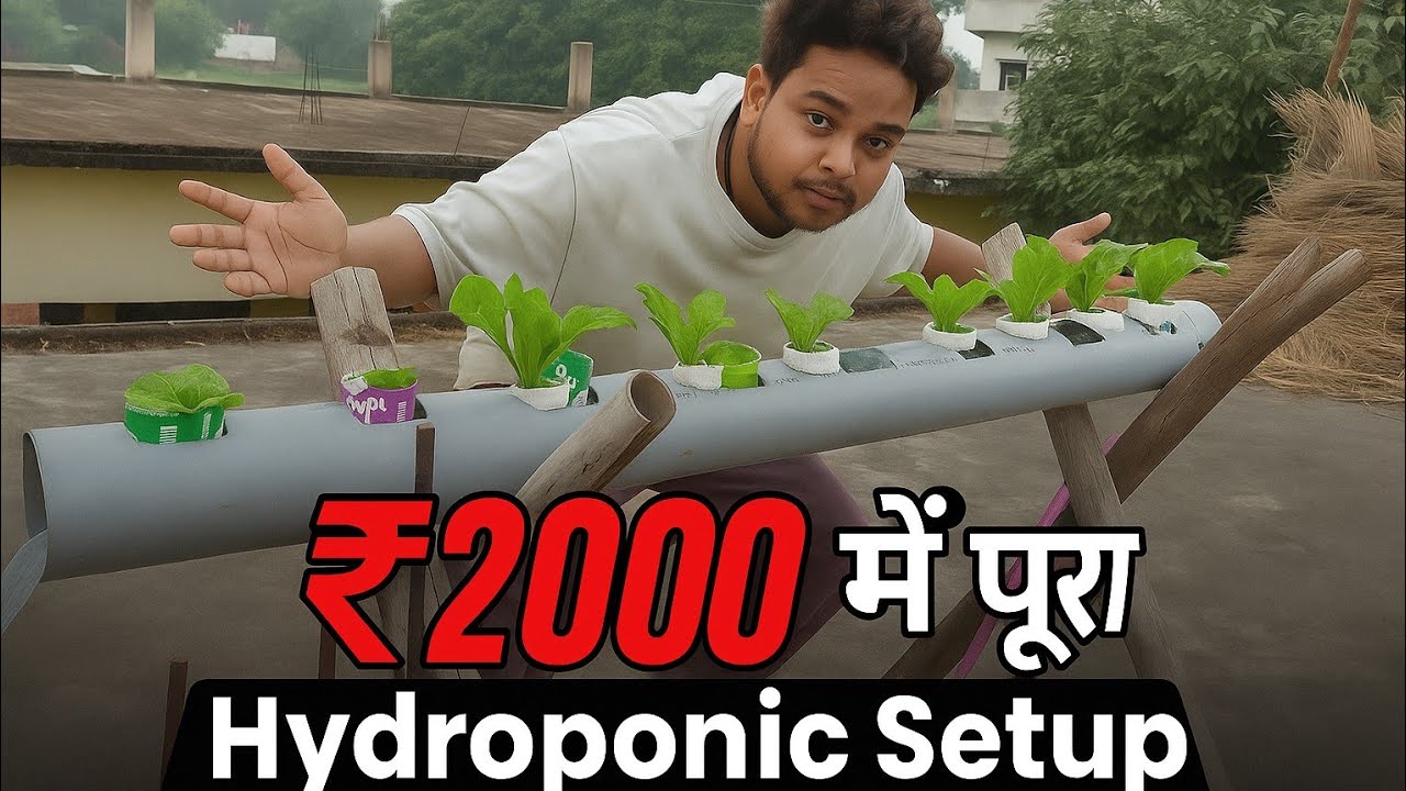 Ab 2000 mein pura hydroponic setup | घर पर आसान हाइड्रोपोनिक खेती का पूरा तरीका” #HydroponicFarming
