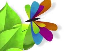 Sunset Mesa - Butterfly :30