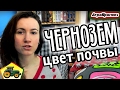 Почему ПОЧВА чёрная?