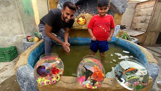 First Time Bht Sari New Fishes Le Kr Ae