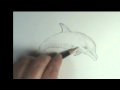 How to draw a Dolphin