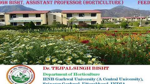 Feedback Video about Faculty Induction Programme