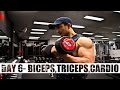 DAY 6- BICEPS/TRICEPS/CARDIO || ABSOLUTE MUSCLE 12 WEEK PROGRAM BY JEET SELAL [HINDI]