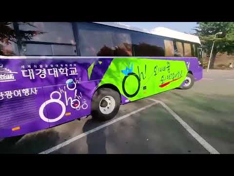 대경대학교 실용음악과 17학번 화석의 Vlog