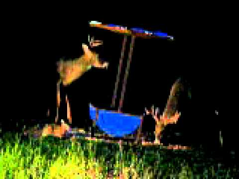 2 bucks - YouTube