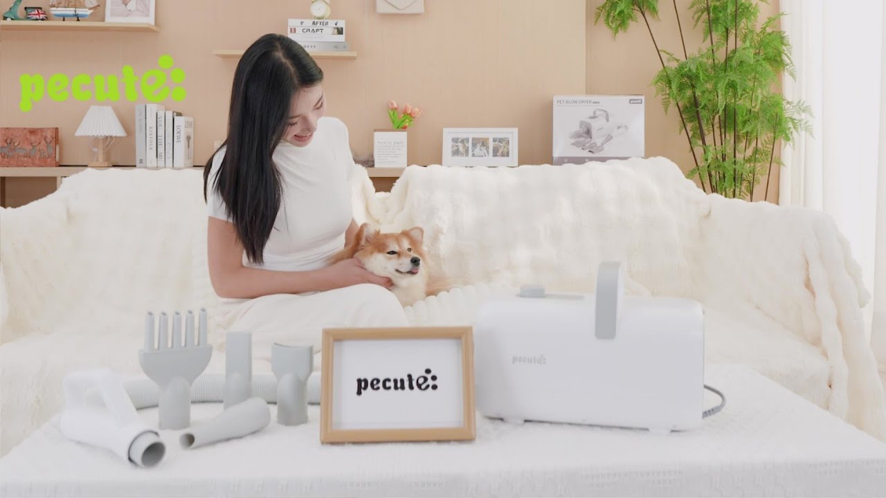 Quick Drying, Safe and Efficient | Discover the Ultimate Pet Blow Dryer