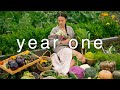 Everything i did to transform abandoned land into a vegetable garden timelapse