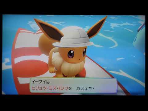 ポケットモンスター Let's Go! イーブイ プレイ４９[セキチクGOパーク]