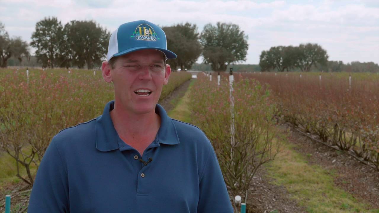 It's Go Time When You Apply Dormex