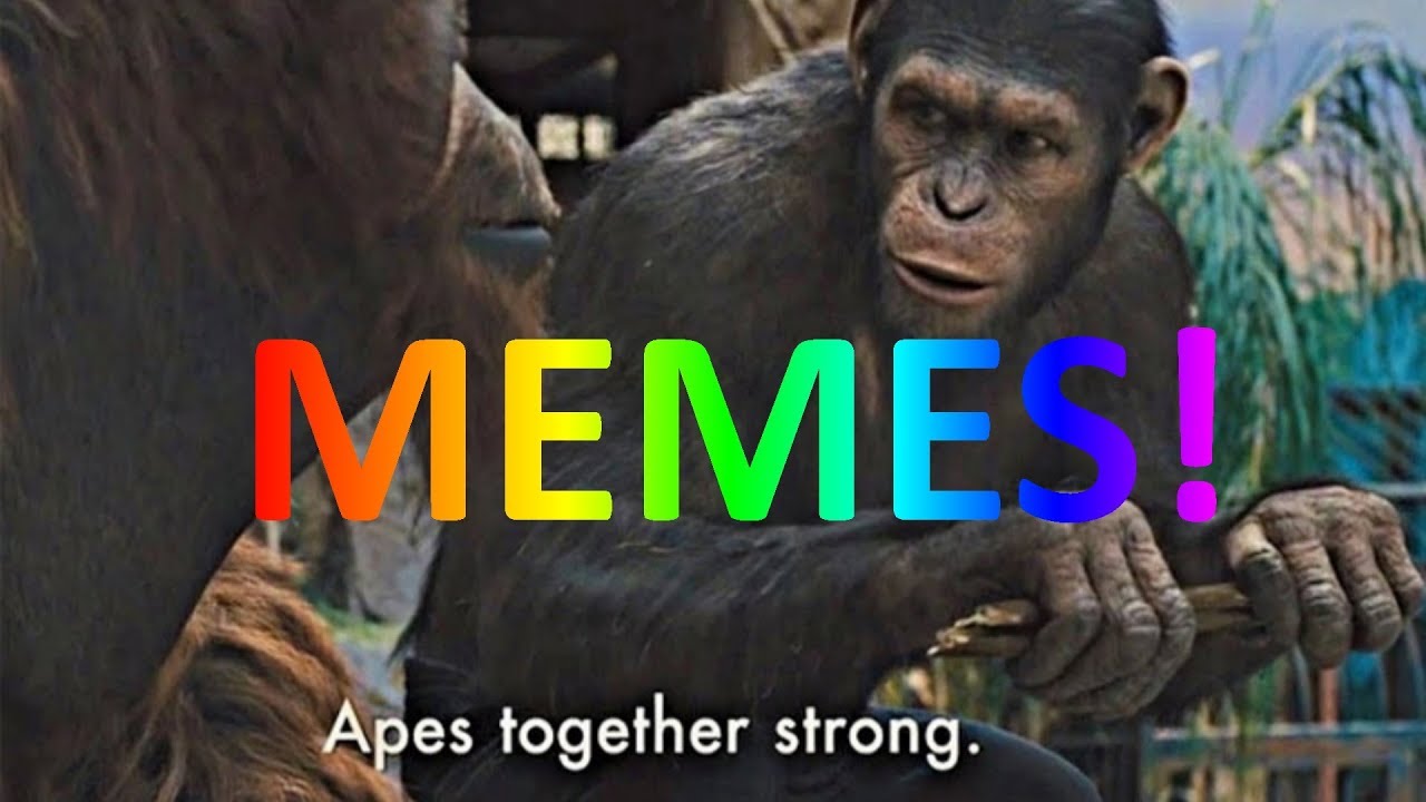 destiny 2 apes strong together meme