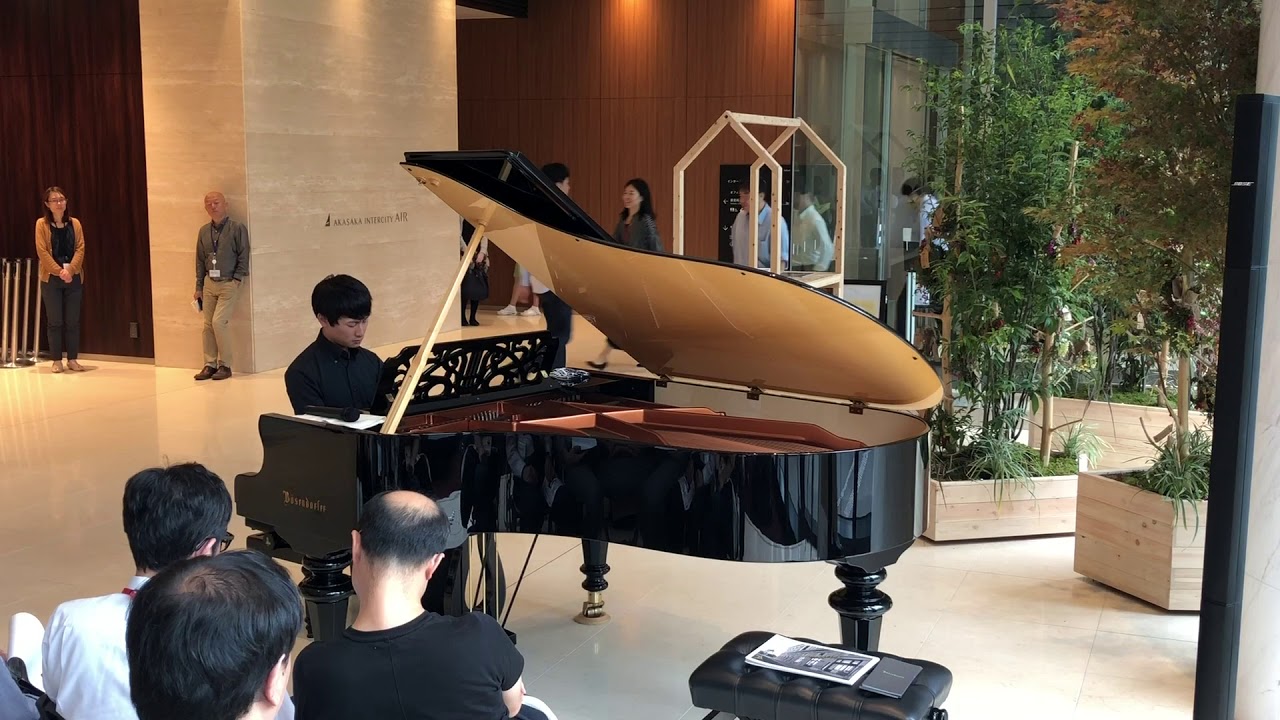 ショパン：幻想ポロネーズ(ピアノ)／Chopin：Polonaise-Fantasy