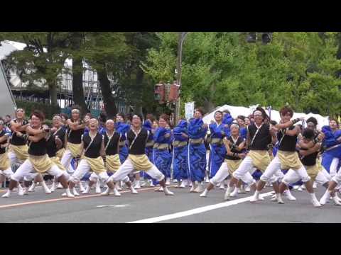 2016「安濃津よさこい大パレード」天狗う