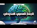 شرح الدرس الثالث عصبية الوحدة الأولى الجهاز العصبي المحيطي بكالوريا